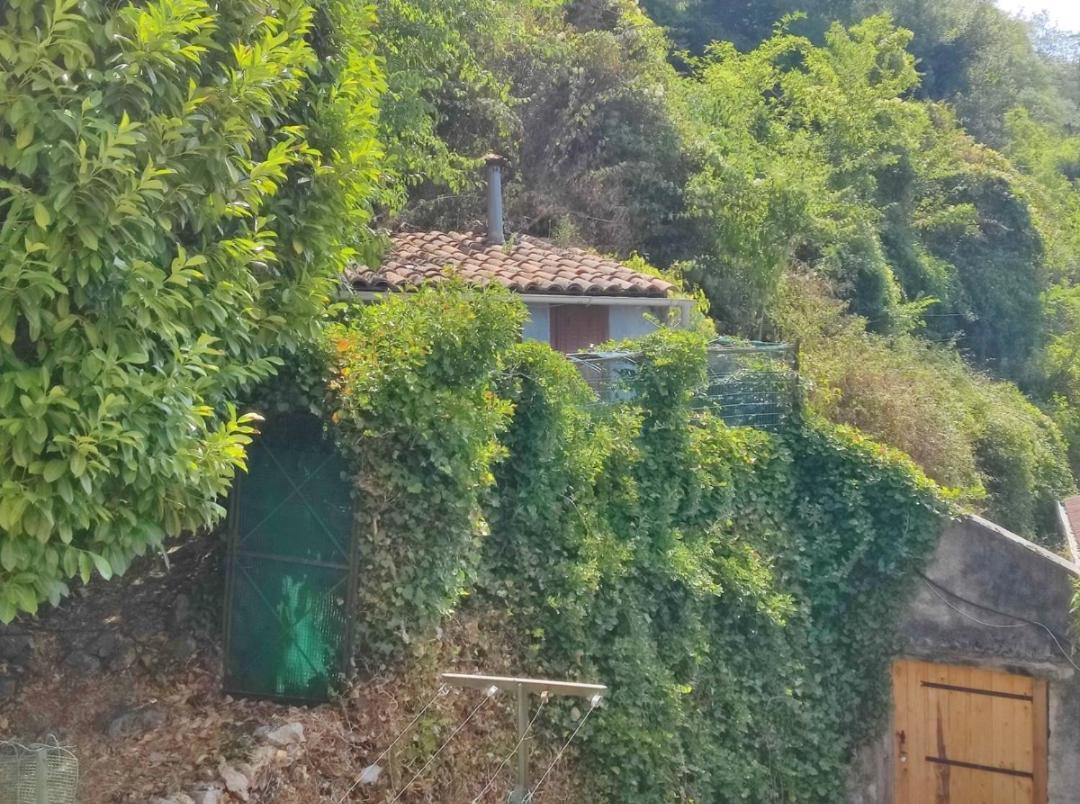 Hebergements Entiers Two Homes T1 Bas Or T1 Haut -Aux Terrasses Du Pech Foix Dış mekan fotoğraf