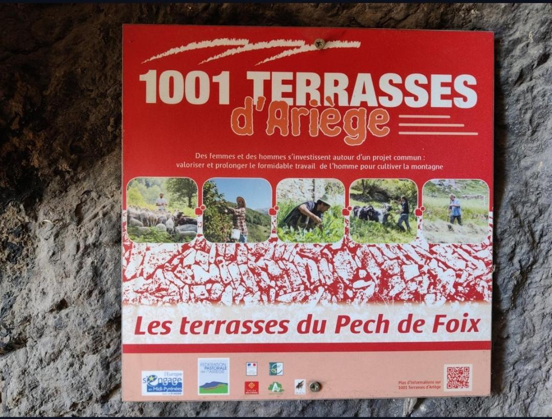 Hebergements Entiers Two Homes T1 Bas Or T1 Haut -Aux Terrasses Du Pech Foix Dış mekan fotoğraf